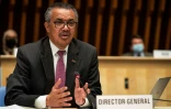 Le directeur général de l'OMS Tedros Adhanom Ghebreyesus, le 24 mai 2021 à Genève