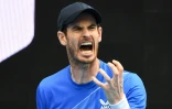 Andy Murray vainqueur du Géorgien Nikoloz Basilashvili à l'Open d'Australie à Melbourne, le 18 janvier 2022