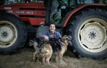 L'agricultrice Élodie Lac pose avec ses chiens dans sa ferme biologique à Cézac (Lot), le 19 août 2025