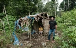 Bokum et sa femme Nawate, membres de la tribu Hongana Manyawa, dans leur champ de manioc à East Halmahera, dans le nord des Moluques, le 16 avril 2025 en Indonésie