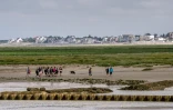Des gens marchent sur le sable à Saint-Valery-sur-Somme dans la baie de Somme le 5 août 2016