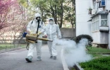 Des bénévoles désinfectent un quartier résidentiel à  Wuhan le 23 février 2020 