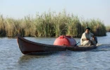 Pour abreuver ses buffles, Mohammed Hamid Nour transporte en pirogue une citerne d'eau moins saline que celle des marais de Chibayich, le 23 juin 2023 dans le sud de l'Irak