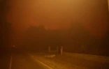 Feu de forêr à Luglon, dans les Landes, le 13 août 2026