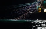 Pêche au filet pélagique en b?uf, Golfe de Gascogne, 8 janvier 2020 