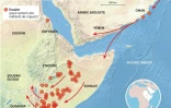 Carte d'Afrique de l'Est montrant le mouvement des essaims de criquets pèlerins qui menacent la sécurité alimentaire, selon la FAO