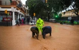 Des ouvriers tentent d'ouvrir une bouche d'égout dans une rue inondée à Campanillas, près de Malaga, le 13 novembre 2024 dans l'est de l'Espagne