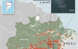 Incendies en Amazonie