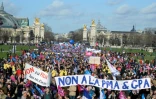 Des militants de "La Manif Pour Tous" défilent à Paris contre l'extension de la PMA (procréation médicalement assistée) à toutes les femmes et contre la GPA (gestation pour autrui) le 2 février 2014