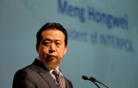 Le président d'Interpol Meng Hongwei, le 4 juillet 2017 à Singapour