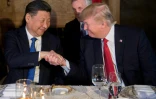 Le président américain Donald Trump (d) et son homologue chinois Xi Jinping, lors d'une rencontre dans la demeure présidentielle de Mar-a-Lago, en Floride, le 6 avril 2017