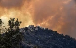Un incendie de forêt dans la région de la Kabylie, le 10 août 2021 en Algérie