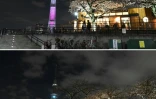 La tour de radiodiffusion Skytree de Tokyo éclairée puis éteinte le 24 mars 2018 à l'occasion d'Earth Hour.
