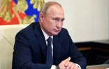 Le président russe Vladimir Poutine à Novo-Ogaryovo, près de Moscou, le 11 août 2020