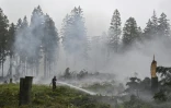 Un pompier arrose la végétation lors d'une intervention contre un feu de forêt dans la réserve naturelle des Hautes Fagnes, près de Baelen, le 18 août 2026 en Belgique
