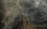 Des pompiers luttent contre un incendie de forêt près de Néa Peramos, à l'ouest d'Athènes, le 19 juillet 2023 en Grèce