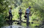 L'Office français de la biodiversité inspecte le niveau d'eau de l'Yser à Herzeele, dans le Nord, le 2 août 2022