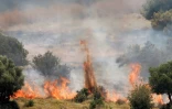 Incendies dans le nord d'Israël provoqués par des tirs de roquettes depuis le sud du Liban, le 12 juin 2024