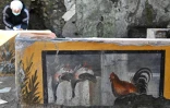 Une fresque mise au jour dans le quartier du thermopolium, sorte de "fast-food" de rue dans la Rome antique, le 25 janvier 2021 sur le site archéologique de Pompéi, près de Naples