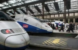 Des TGV Gare de Lyon à Paris, le 24 mars 2010