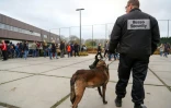 Un officier de police belge patrouille devant le stade avant un match amical contre l'Espagne, finalement annulé, le 17 novembre 2015
