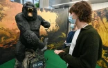 Des visiteurs devant une statue de King Kong tirée du film de Peter Jackson, dans l'exposition sur Ubisoft, le 4 février 2022 à Montpellier