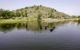 Des buffles dans une pièce d'eau proche d'une carrière de pierre, le 19 mai 2026 à Neem ka Thana, danz l'Etat indien du Rajasthan 