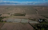 Vue aérienne d'un vignoble entouré par des terres arides à Calingasta, dans la province de San Juan, en Argentine, le 20 avril 2026