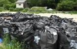 Des sacs remplis de terre contaminé par des radiations sont empilés près du village de Iitate, dans le district de Fukushima, le 17 juillet 2015