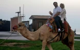 Des touristes iraniens se promènent sur un chameau sur l'île de Kish, le 1er novembre 2016