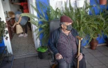 Carmen Acosta, 57 ans, et son père, Laureliano Acosta, 81 ans, de retour le 3 janvier dans leur maison, évacuée le 19 septembre après l'éruption du volcan aux Canaries