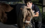 Théo Grataloup, 10 ans, atteint de graves malformations congénitales le 5 octobre 2017 à Moidieu-Détourbe près de Vienne, dans l'Isère