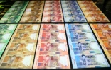 Les nouveaux billets de banque sud-africains à l'effigie de Nelson Mandela, le 13 juillet 2018 à Pretoria