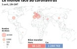 Le monde face au coronavirus