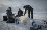 Le chef du programme sur les ours polaires, Jon Aars (c) et le vétérinaire norvégien Rolf Arne Olberg (d) mesurent un ours polaire dans l'est du Spitzberg, dans l'archipel du Svalbard, le 17 avril 2025