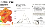 L'épidémie de grippe