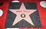 Minnie Mouse a inauguré son étoile sur le Hollywood Boulevard lundi 22 janvier, 40 ans après Mickey