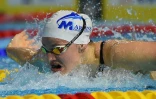 La Française Marie Wattel lors de la finale du 100 m papillon des Championnats de France en petit bassin, le 3 décembre 2017 à Montpellier 