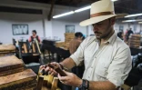 Le Nicaraguayen Nestor Plasencia, vice-président de la société Plasencia Cigars dans son usine à Esteli, le 17 mai 2019