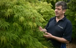 Richard McKenna, directeur général de la pépinière Provender, le 29 avril 2024 à Swanley, dans le sud-est de l'Angleterre