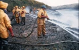 Des équipes de nettoyage luttent contre la pollution qui a frappé le littoral breton à la suite du naufrage du pétrolier Amoco Cadiz face au port de Portsall, dans le Finistère, le 16 mars 1978