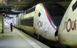 Des TGV à à la gare Montparnasse lors d'une grève à la SNCF, le 28 octobre 2019 à Paris