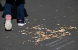 Des mégots de cigarettes qui jonchent un trottoir, à Paris, le 14 mars 2022