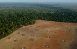 Vue aérienne d'une zone déboisée de la forêt amazonienne près de la ville de Humaita, dans l'Etat d'Amazonas, le 15 septembre 2022 au Brésil