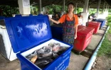 La commerçante Buakhlee Srisawat montre sa marchandise sur un petit marché aux poissons près de Chiang Saen, le 4 juin 2026