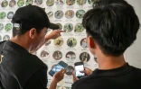 Des observateurs de Borneo Future Indonesia, qui sont aussi des villageois locaux, comparent les images d’un oiseau qu’ils ont photographié avec un catalogue de la faune affiché au bureau du village de Labian, à Kapuas Hulu, à Bornéo
