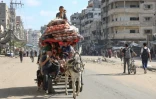 Des Palestiniens transportant des affaires sur une charrette fuient un secteur au nord de la ville de Gaza, le 12 octobre 2024, sur fond de guerre entre le mouvement islamiste Hamas et Israël