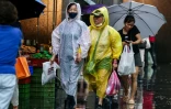 Des clients transportent leurs courses dans des sacs en plastique sur un marché à Keelung, le 9 juin 2026 à Taïwan