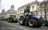Manifestation d'agriculteurs contre une taxe controversée sur la succession visant certaines exploitations, le 11 décembre 2024 à Londres