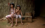 Des enfants Arara assis sur un banc à l'extérieur de leur maison traditionnelle, au camp Arado dans la forêt amazonienne brésilienne près de Medicilandia, le 13 mars 2019